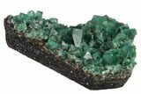 Fluorite Crystal Cluster - Rogerley Mine #143077-1